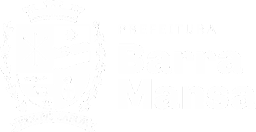 Barra Mansa Logo